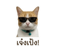 854190228