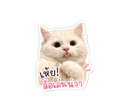854193003