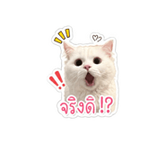 854193007