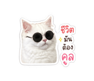 854193008