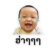 854193228