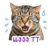 854199038