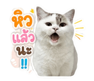 854200041