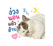 854200047