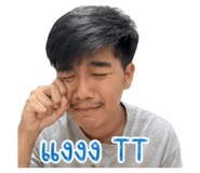 854202284