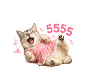 854204274