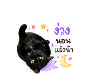 854208303