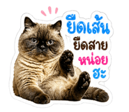 854208862