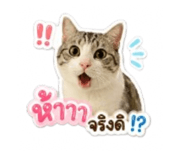 854211324