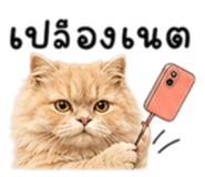 854214668