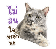 854215879