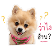 854215981