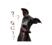 854225712