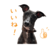 854225719