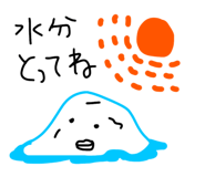854227060