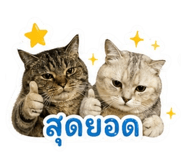 854243492