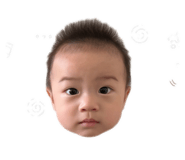854243808