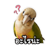854244979