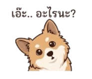 854246698