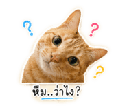 854249379