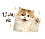 854252022