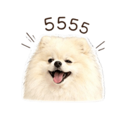 854255772