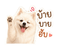 854255971