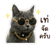 854256649