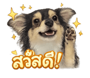 854256865
