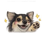 854256871