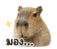 854259201
