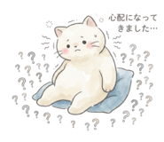 854259764