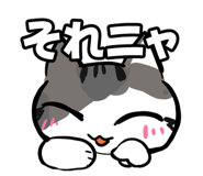 854260011