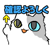 854260020