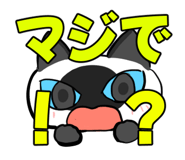 854260022