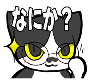 854260023
