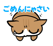 854260026