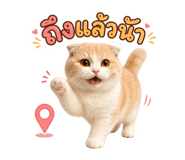 854273500