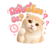 854273519