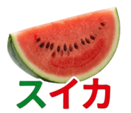 854276529
