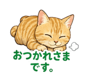 854277554