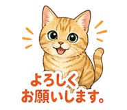 854277558
