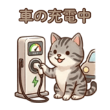 854282207