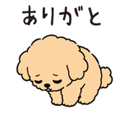 854282460