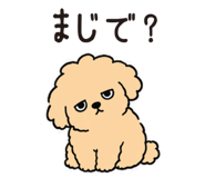 854282461