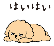 854282470