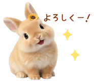 854283081