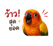 854287309