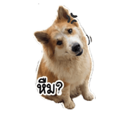 854295530