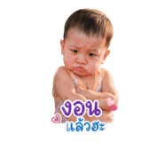 854297616